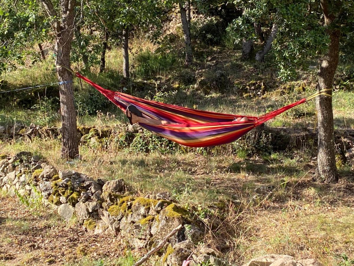Ribes - Chalet Gite Au Coeur De La Nature Sournia Eksteriør bilde