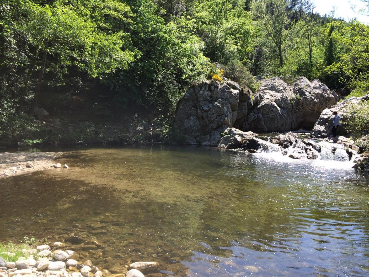 Ribes - Chalet Gite Au Coeur De La Nature Sournia Eksteriør bilde